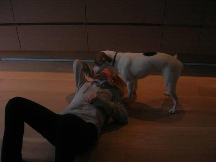 Blanding af racer !....Dolly....­­!­­ - Nåår dolly. Gir du mig et kys? :-*  billede 14