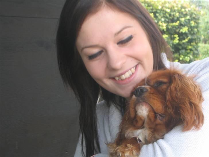 Cavalier king charles spaniel Düchess  [Himmelhunden] - Mig og Düchess til min 20 års fødselsdag  billede 19