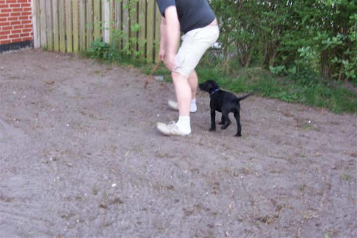 Blanding af racer Jilly - Claus og baby Jilly leger i jordhaven, dengang for lang tid siden... billede 13