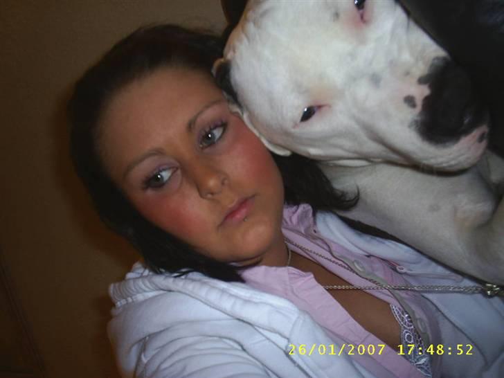 Amerikansk staffordshire terrier Joker R.I.P min skat :'( - Moaarrr, lad nu være ;) billede 13