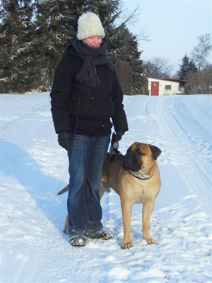 Bullmastiff Cæsar - Mig og mor på tur i sneen vinter 2010 billede 18