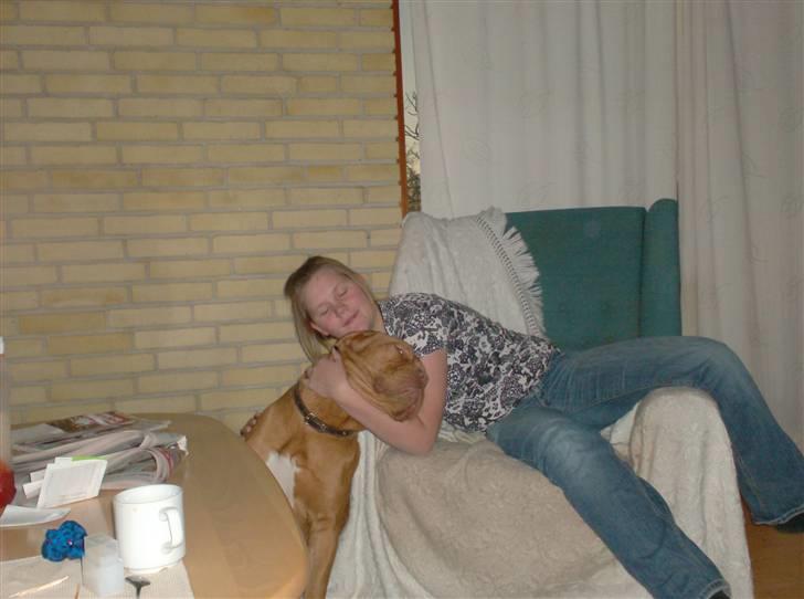 Dogue de bordeaux Betty (sveske) R.I.P.  billede 12