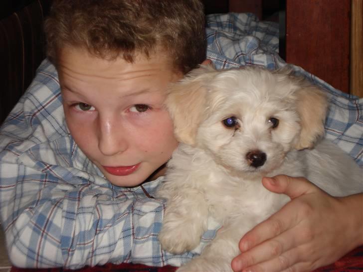 Blanding af racer FREJA - jeg er en rigtig puttemås billede 7