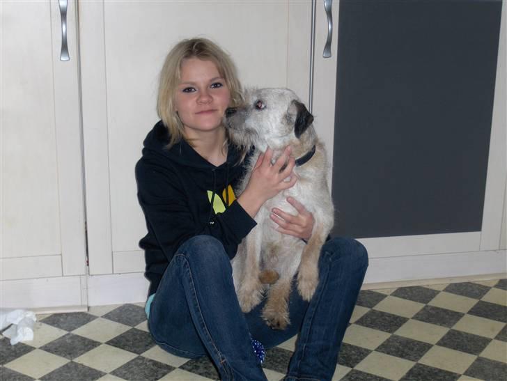 Border terrier holger:P død:´( - jeg gider altså ikk tages flere billeder a :o siger holger.du er så sød billede 2