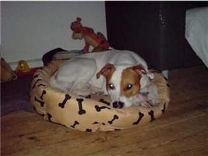 Blanding af racer boss billede 2