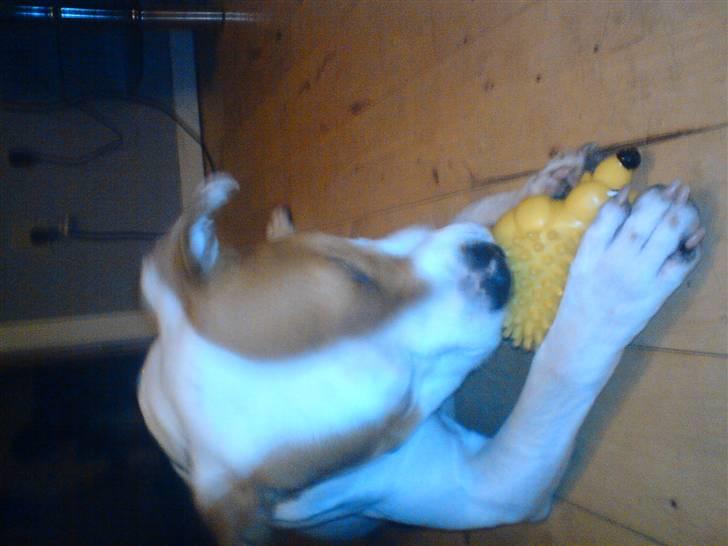 Blanding af racer boss billede 4