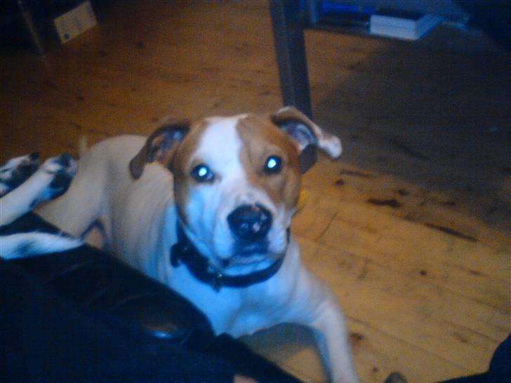 Blanding af racer boss billede 5