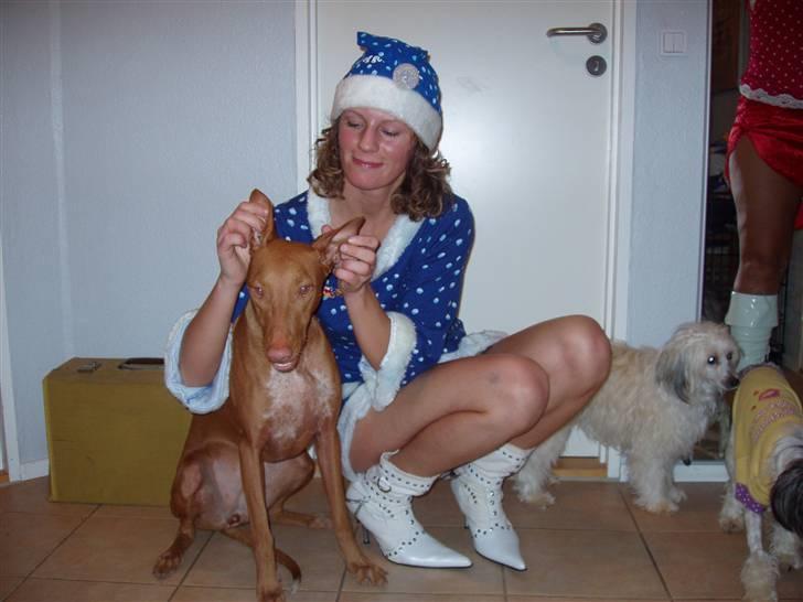 Pharaohound beate - ja hvad kan man sige.. tuborg nisse pige og hund billede 17