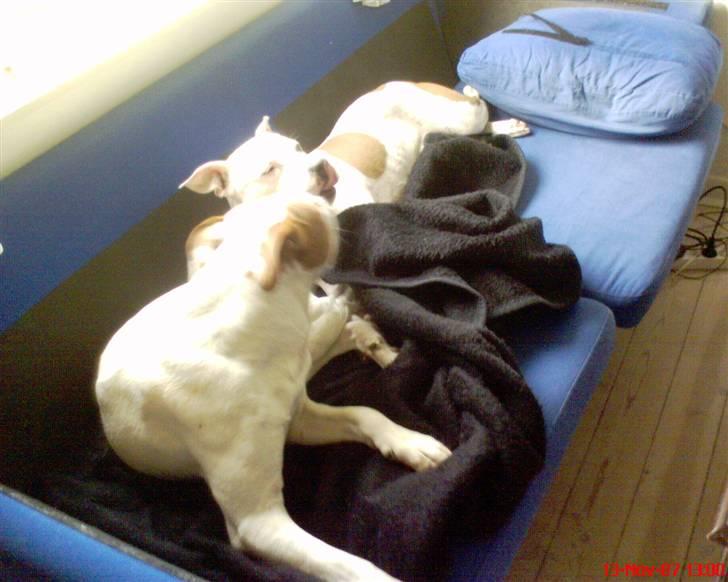 Blanding af racer boss billede 10