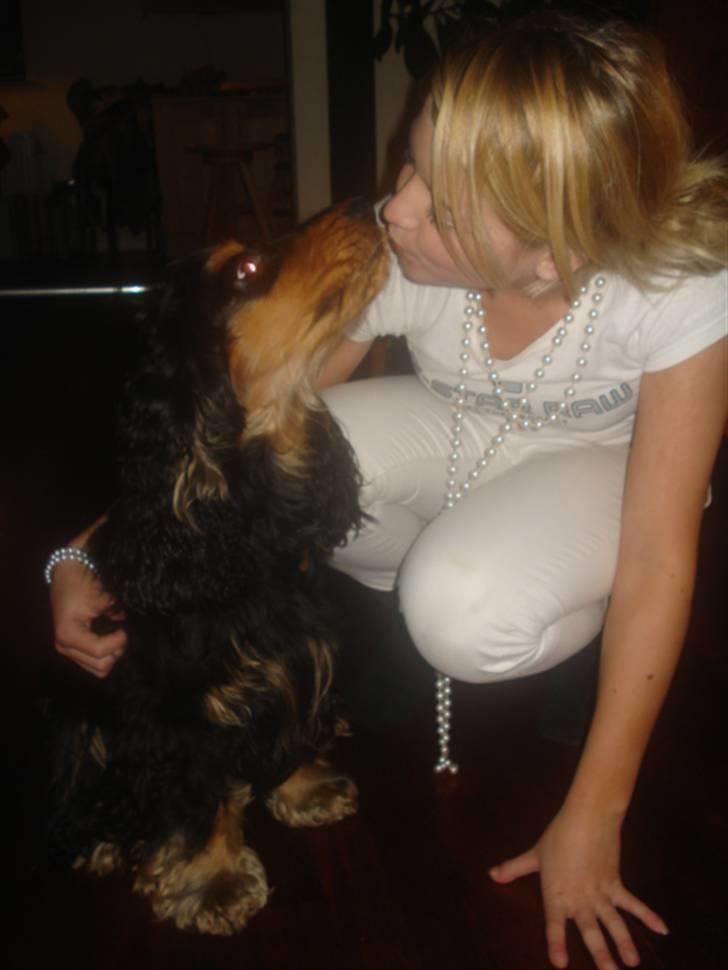 Cocker spaniel Amigo - I LOVE YOU Baby <3  billede 9