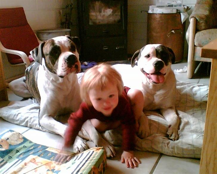 Blanding af racer Futte - Rør baby og vi kommer efter dig!!! billede 2