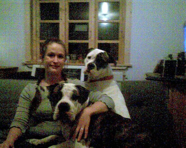 Blanding af racer Futte - Miiiiin moar!!!!! billede 5