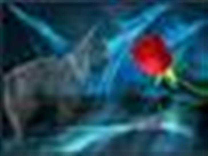 Cairn terrier Topper billede 7