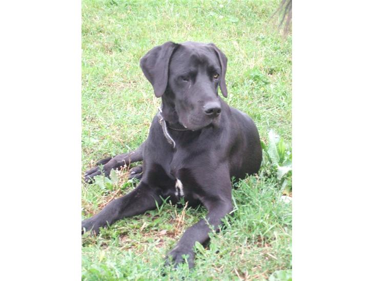 {{currentPhoto.altText}} billede {{currentPhoto.number}}