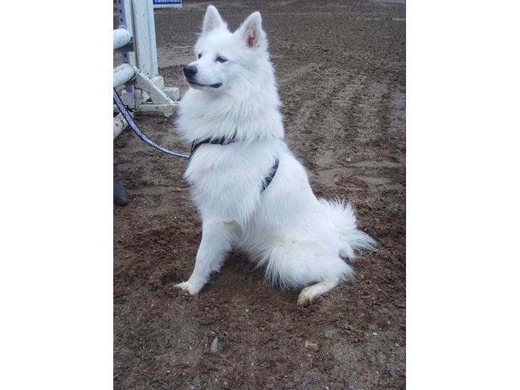 {{currentPhoto.altText}} billede {{currentPhoto.number}}