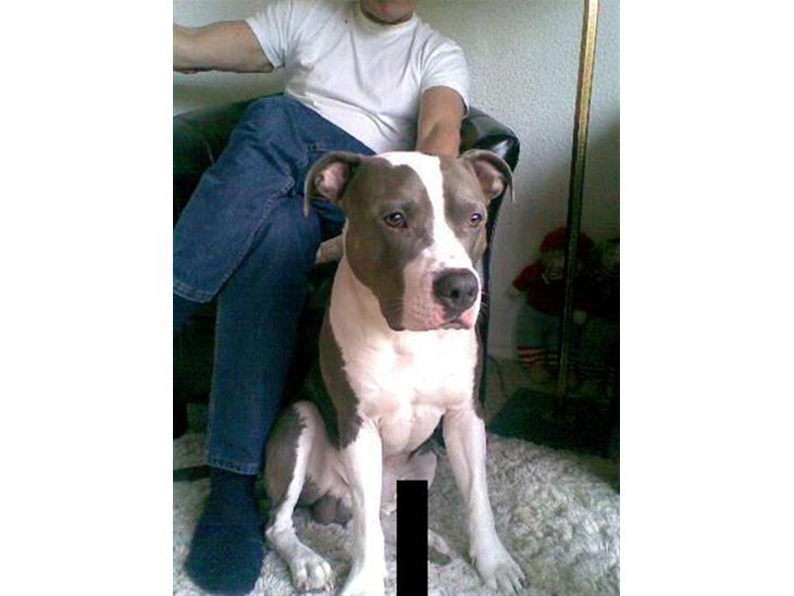 {{currentPhoto.altText}} billede {{currentPhoto.number}}