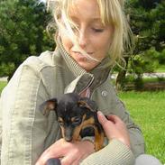 Blanding af racer Toula