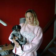 Amerikansk bulldog Tyson