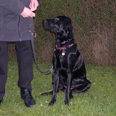 Blanding af racer Mille