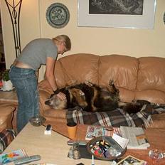 Blanding af racer Nicki 