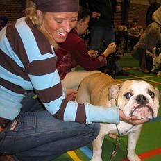 Engelsk bulldog Munthe