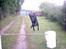 Labrador retriever Buddy - Buddy-jump