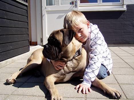 Bullmastiff ~OZZY~ Lækkerdrengen!     - Ozzy & Jonas i sommerhus april 2007 billede 15