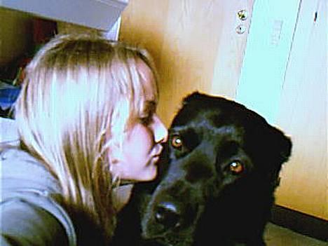 Blanding af racer Bastian - Mums. Kys til mig fra ejeren .  billede 9