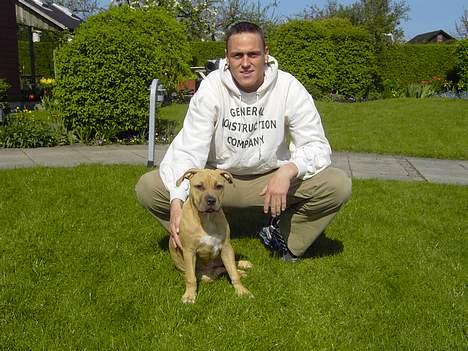 Amerikansk staffordshire terrier Malou Moniq - malou og hendes menneske far billede 15