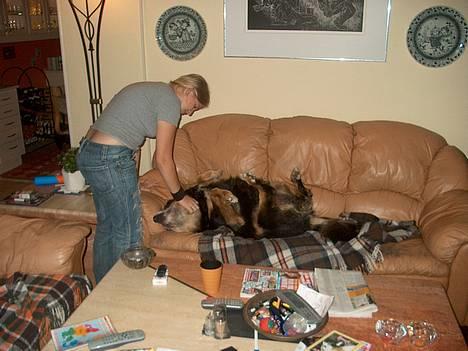 Blanding af racer Nicki  - Her er så Sanni og jeg sammen .. :´) Dejligt billede .. billede 2