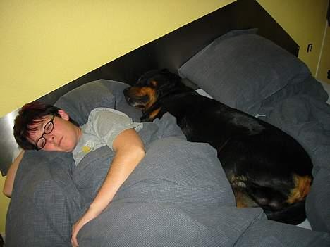 Rottweiler TYSON - Her er jeg og mor gået godnat billede 9
