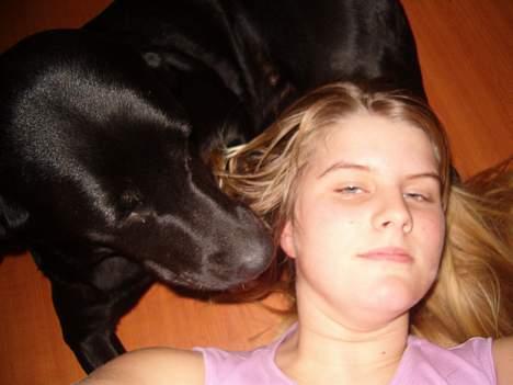 Labrador retriever           (formel1)Vikki  - mig og vikke lidt før jeg blev opret for benæder i øret billede 14