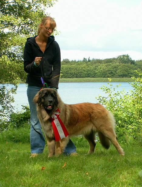 Leonberger Cara Cia. - En meget meget stolt moar..   d. 3-9-06. billede 2