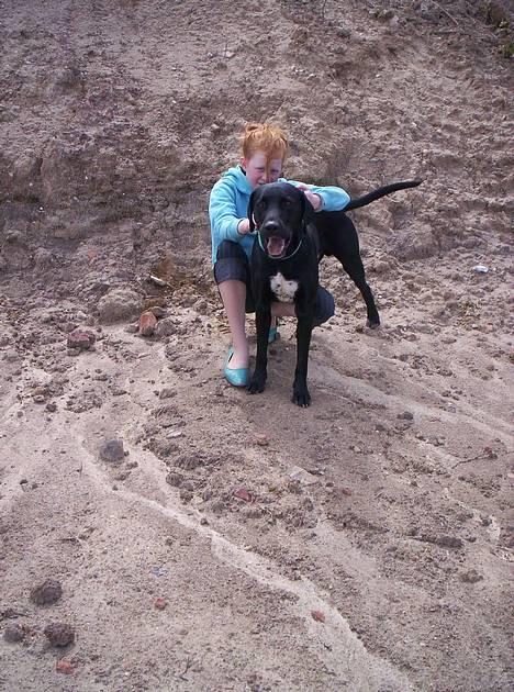 Blanding af racer balder - lidt hygge billede 11