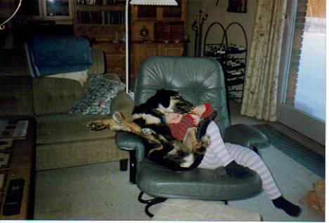 Blanding af racer Nicki  - Nicki og jeg i vild leg, da vi begge bare var børn. ;) *NYT* billede 13