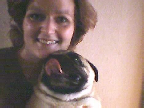 Mops Albert billede 6