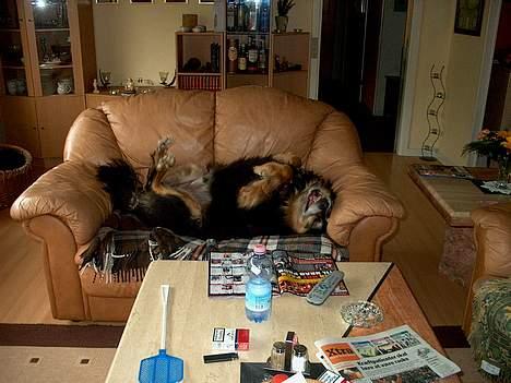 Blanding af racer Nicki  - Hva, Sanni?! er du der?? billede 16