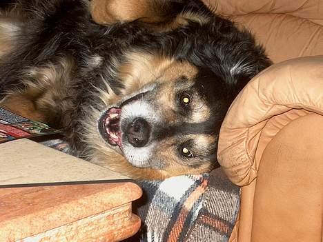 Blanding af racer Nicki  - Hehe, ser jeg ikk lidt skummel ud?! billede 17