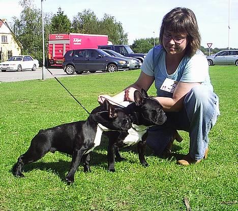 Fransk bulldog Diesel - Mig og min far og hans mor...Se hvor vi ligner hinanden! billede 2