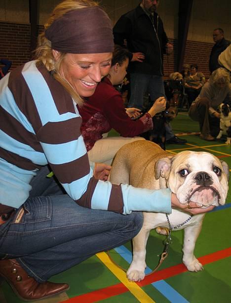 Engelsk bulldog Munthe - På DKK skue i den store ring. billede 3