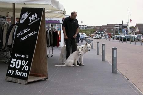 Hvid schæfer *Sheik*  - Kayla, Sheik og Klaus ved Henne strand 29/05/05  (NY) billede 12