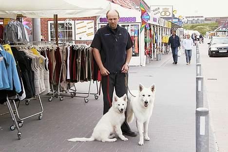 Hvid schæfer *Sheik*  - Kayla, Sheik og Klaus poserer ved Henne strand 29/05/05 (NY) billede 13
