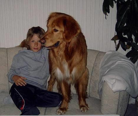 Hovawart Charlie - Charlie og hans allerbedste legekammerat :o) billede 1