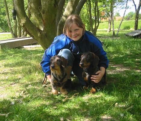 Gravhund Mingo >R.I.P< - Min veninde, Lena med Mingo og min anden gravhund, Frodo. (Foto: Lene K.) billede 5