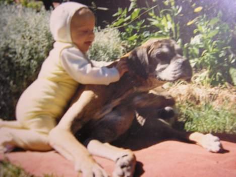 Boxer Mads **DØd** - Gamle Mads.. Og lille mig :p  billede 10