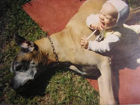 Boxer Mads **DØd** - Gamle Mads.. Og lille mig :p  billede 11