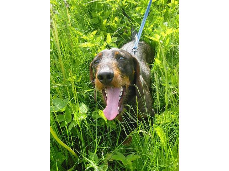 {{currentPhoto.altText}} billede {{currentPhoto.number}}