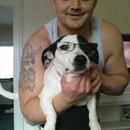 Jack russell terrier morten