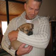 Blanding af racer Shakira 