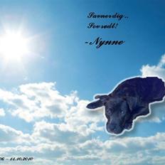 Blanding af racer Nynne R.I.P.